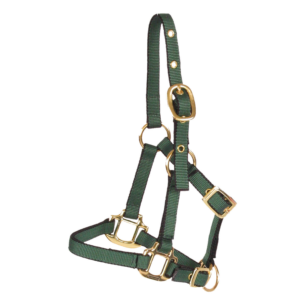 Horse Halter - Mini Yearling