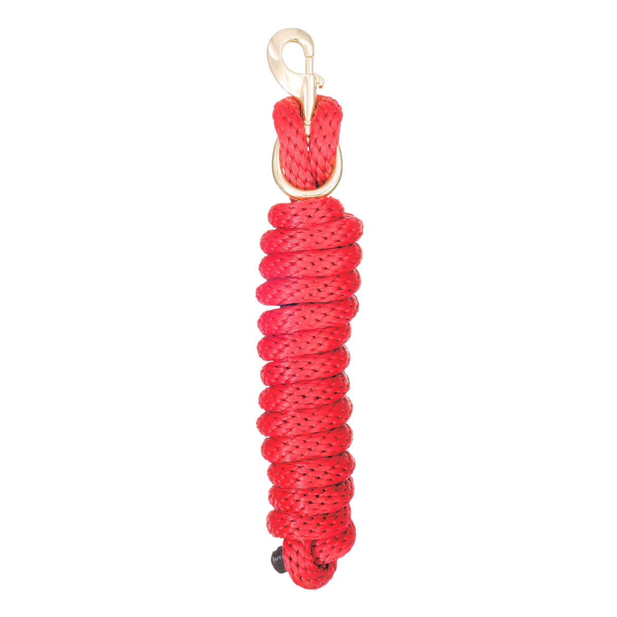 Poly Lead Rope with Bolt Snap