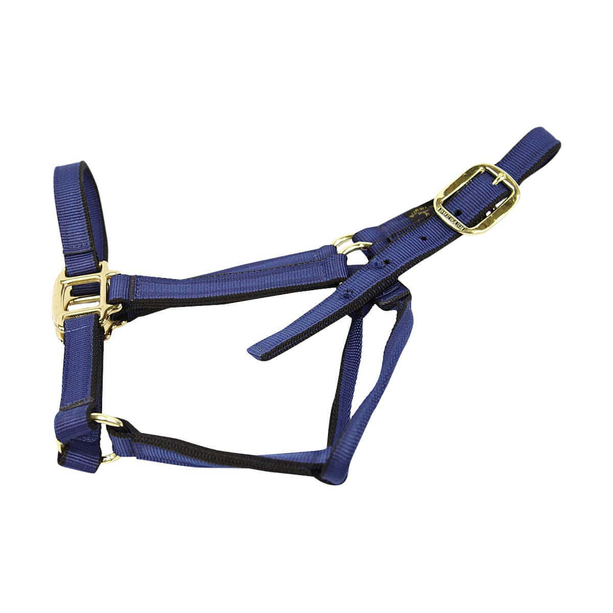 Burwash Web Halter