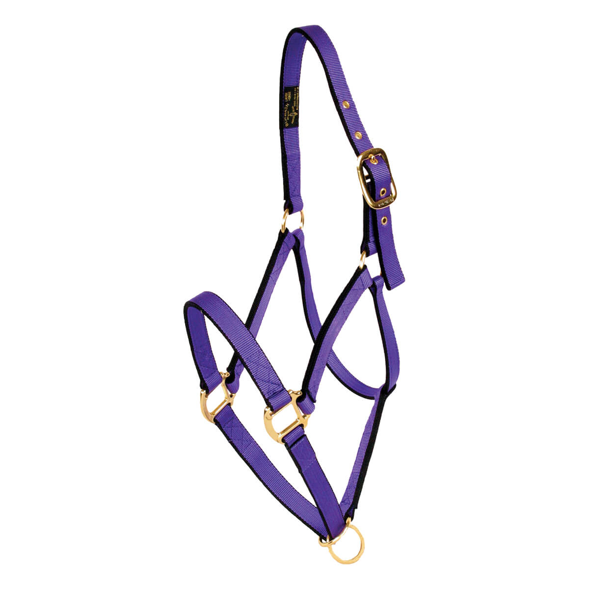 Horse Halter - Draft