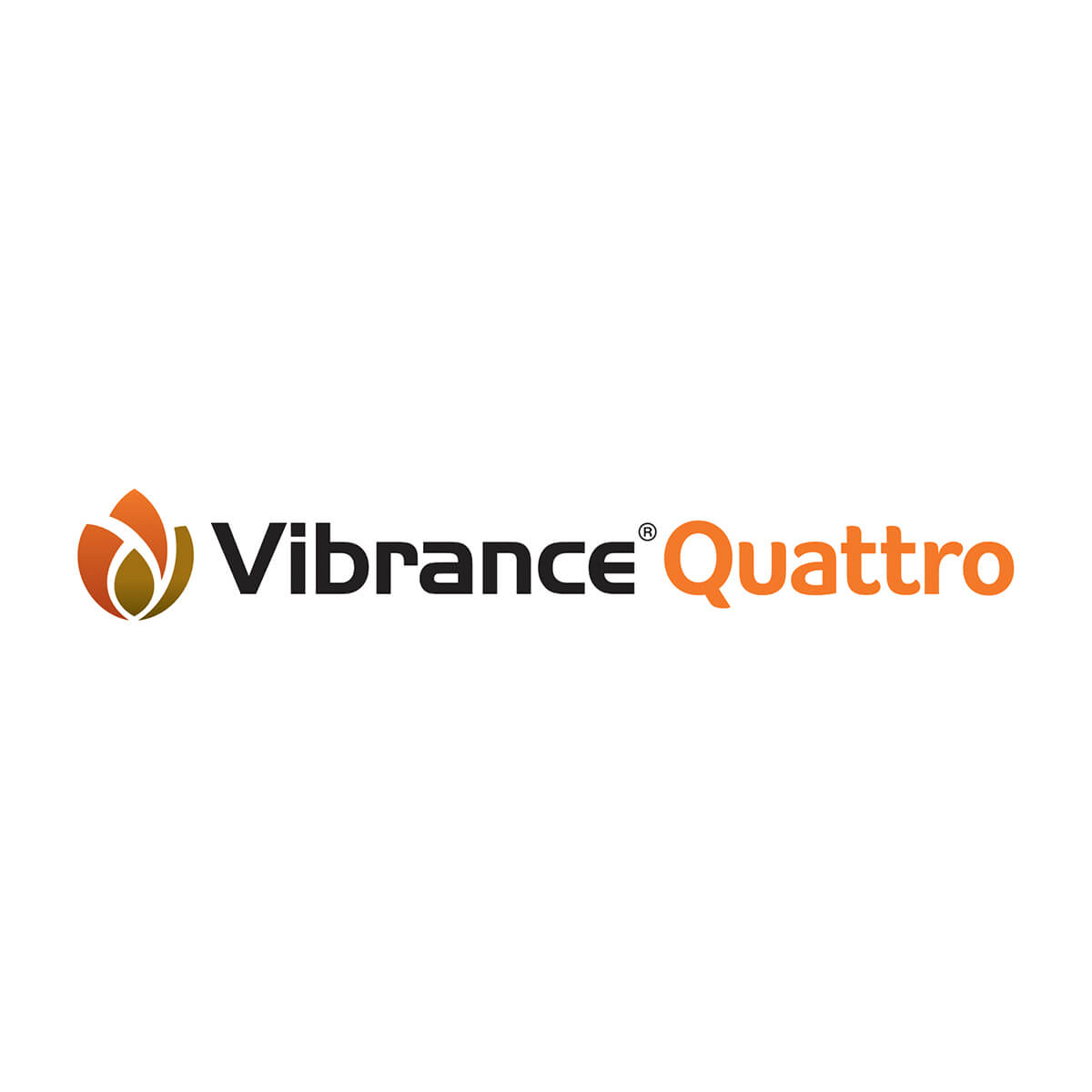 VIBRANCE QUATTRO 10L JUG VIBRANCE QUATTRO 10L JUG